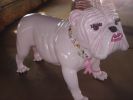 Filename=DSC02202.JPG
Filesize=330KiB
Dimensions=800x600
Date added=May 21, 2005 DSC02202.JPG
