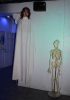 Filename=Halloween_BlueMonkey2.jpg
Filesize=78KiB
Dimensions=475x670
Date added=Nov 10, 2009 Halloween_BlueMonkey2.jpg
